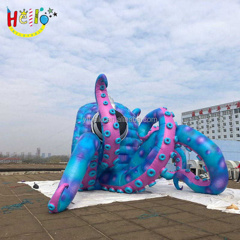 Octopus (12)