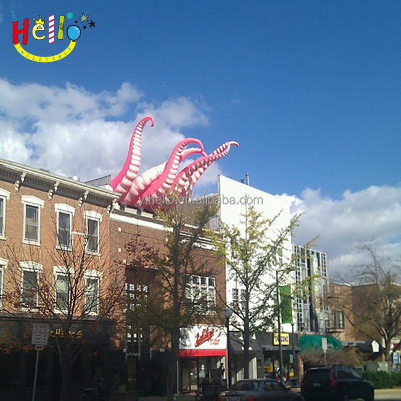 Octopus (3)
