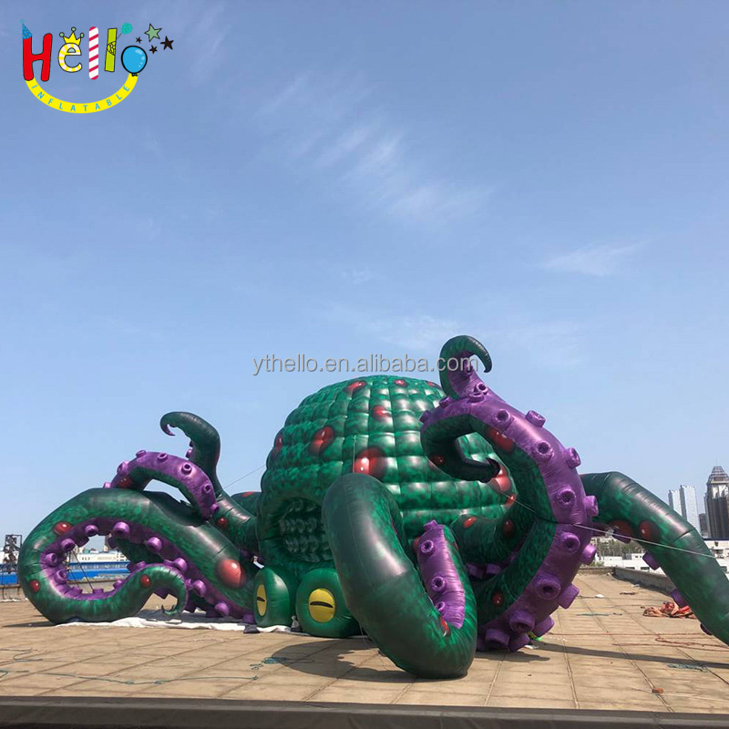 Octopus (31)