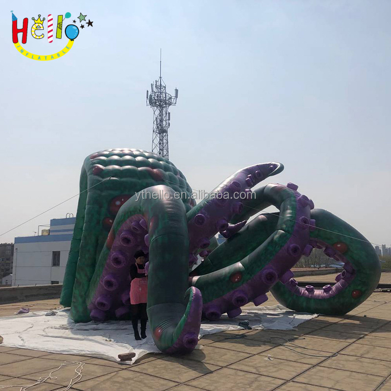 Octopus (32)