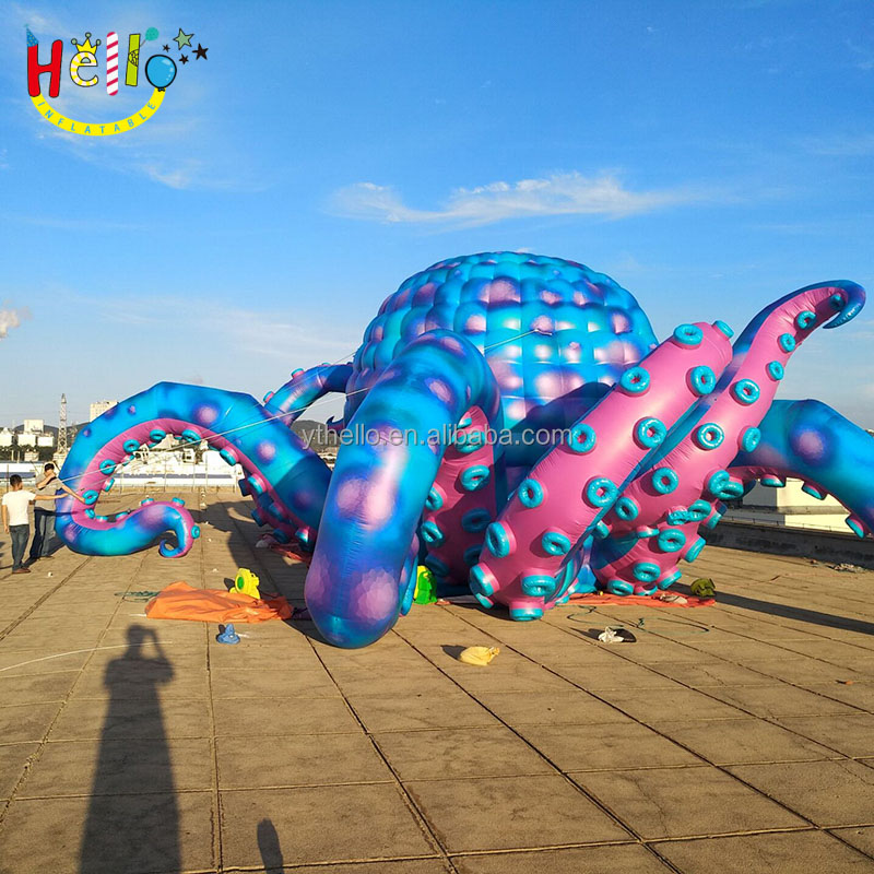 Octopus (37)