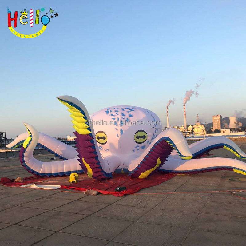 Octopus (40)