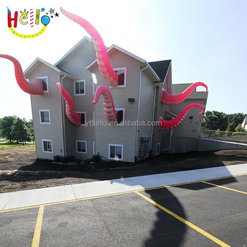 Octopus (66)