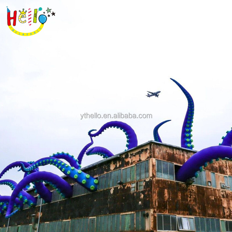 Octopus (7)