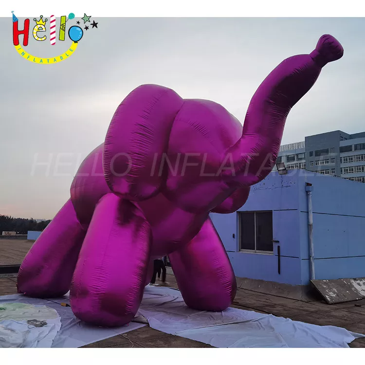 animal (1)