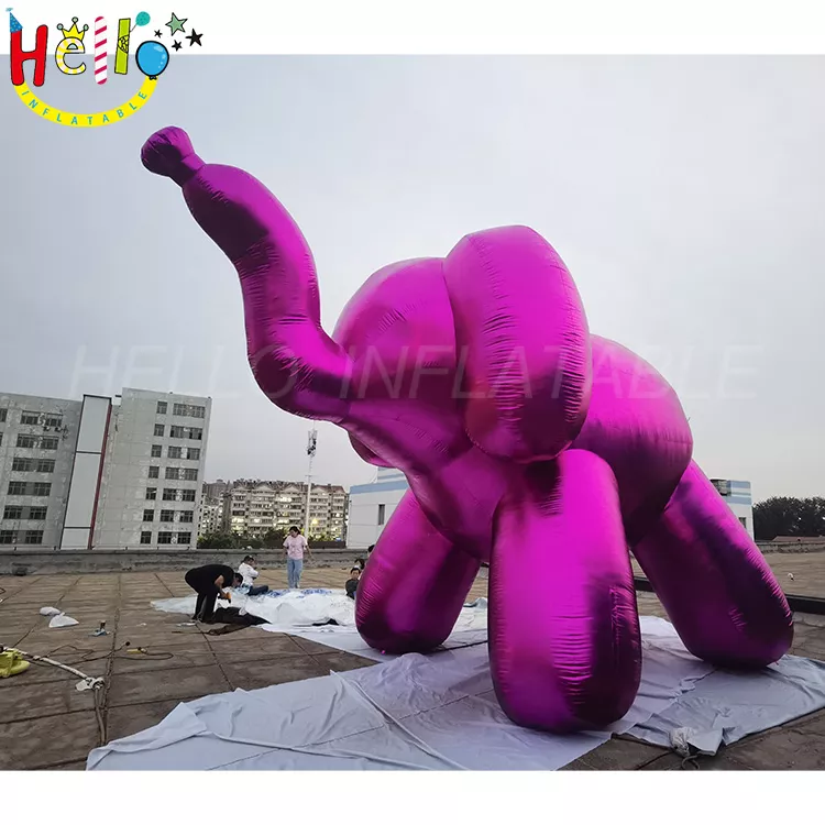 animal (6)
