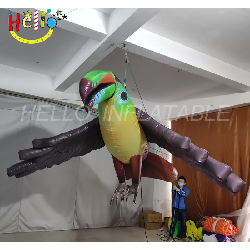 bird (5)