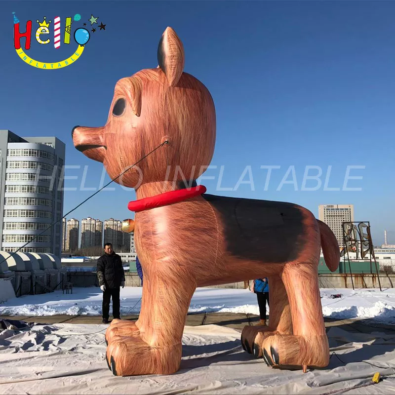 dog (11)