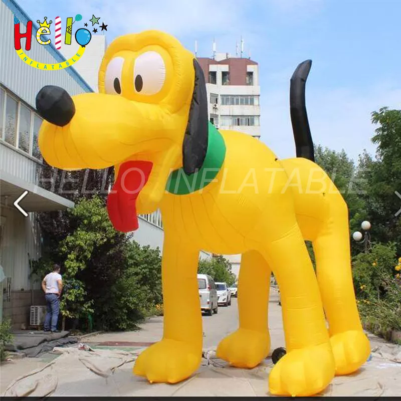 dog (26)