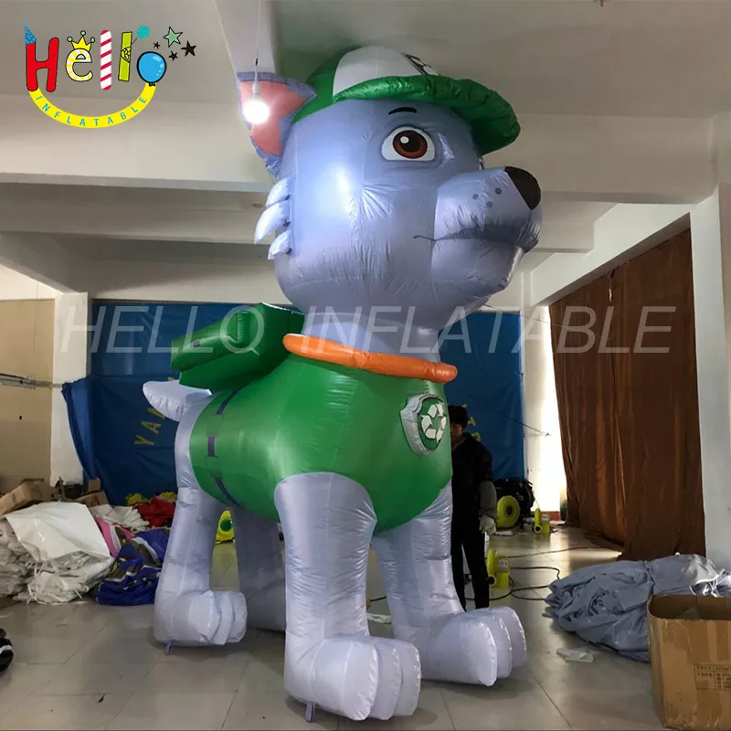 dog (30)