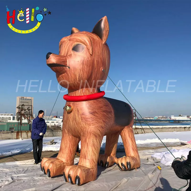 dog (7)