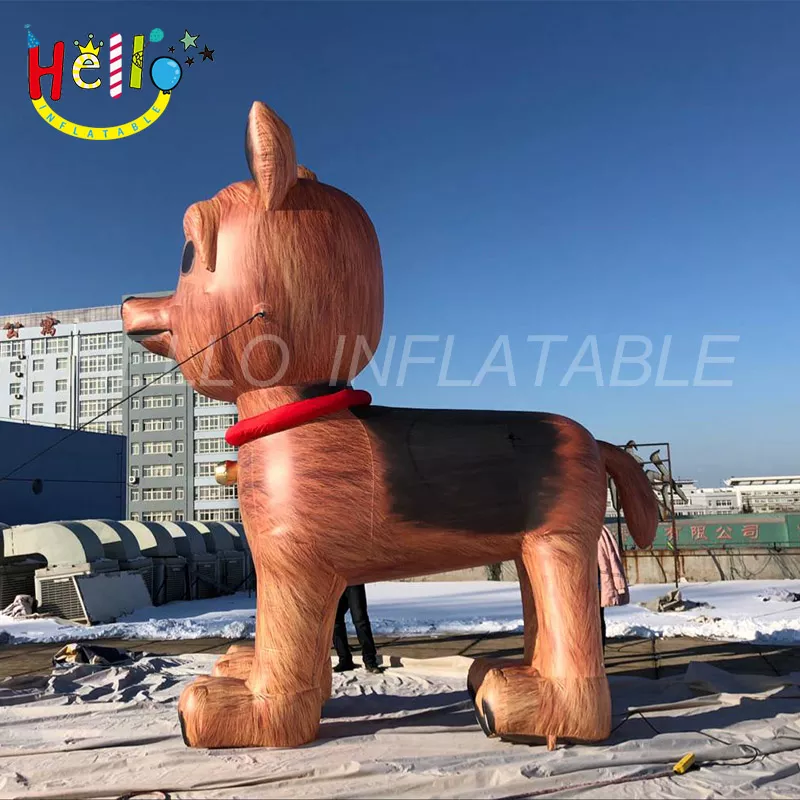 dog (9)