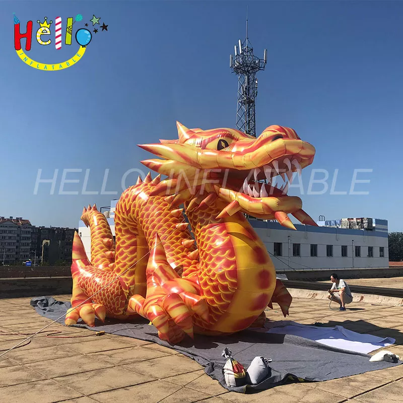 dragon (15)