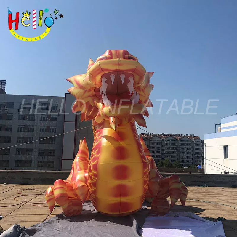 dragon (16)