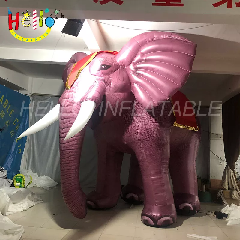 elephant (56)