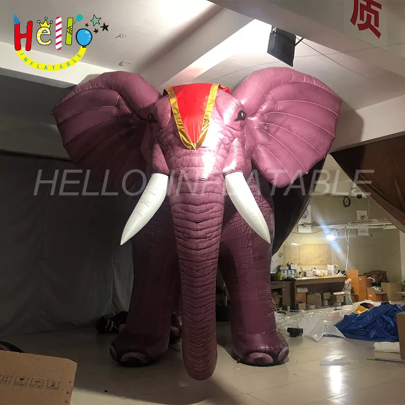 elephant (57)