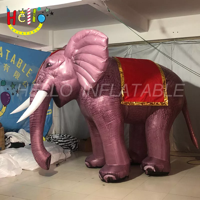 elephant (60)