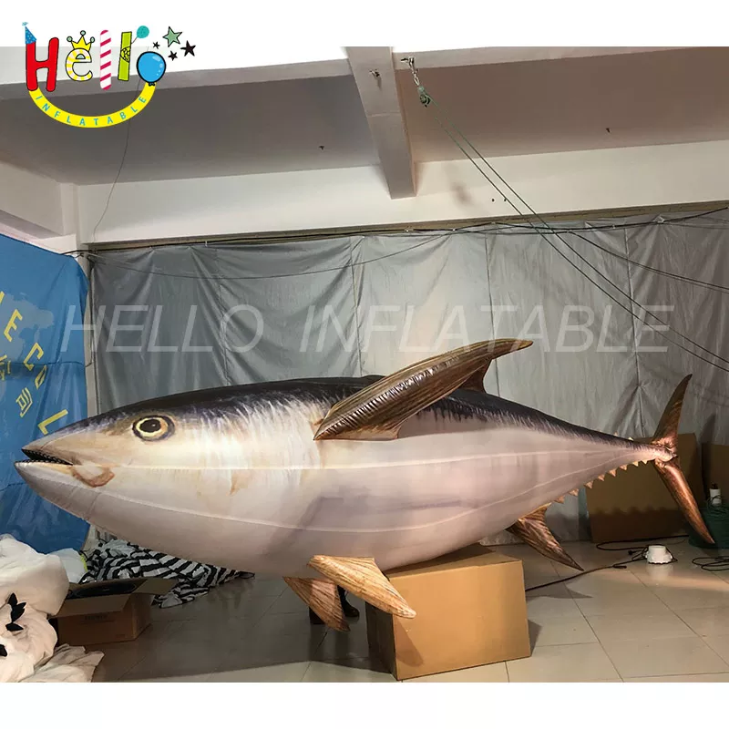 fish (21)
