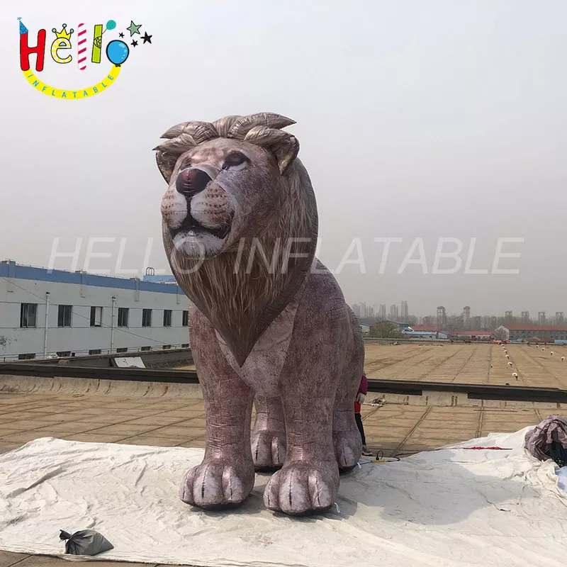 lion (2)