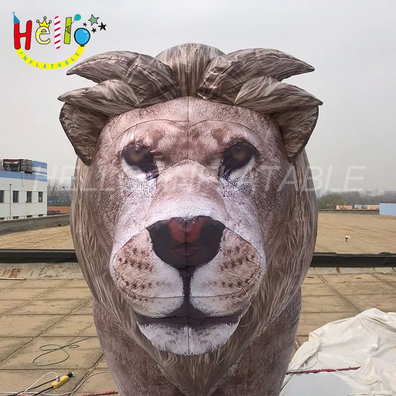 lion (5)