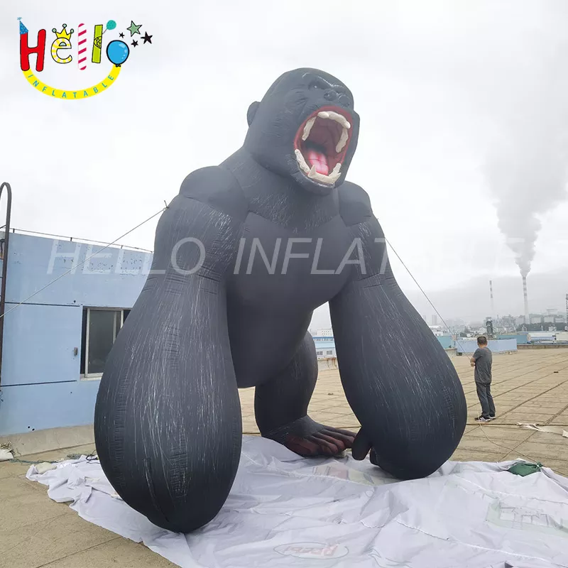 animal (10)