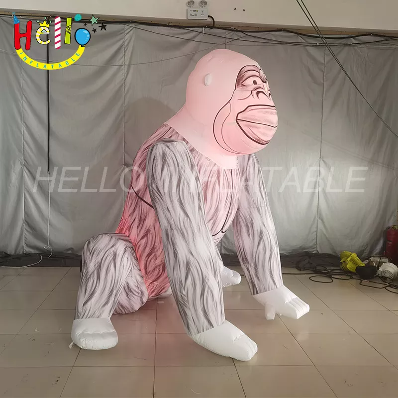 animal (11)