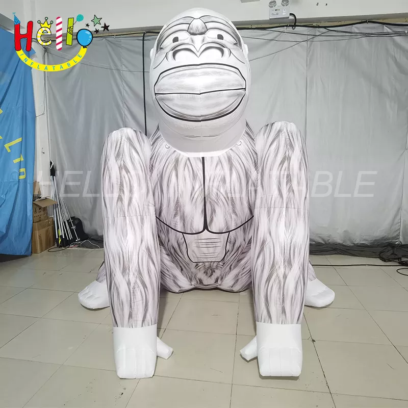 animal (12)
