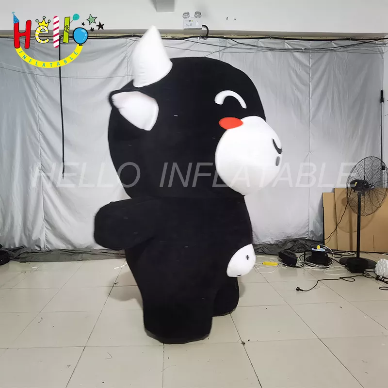 costume (2)