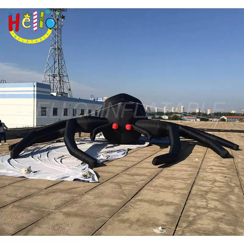 spider (29)