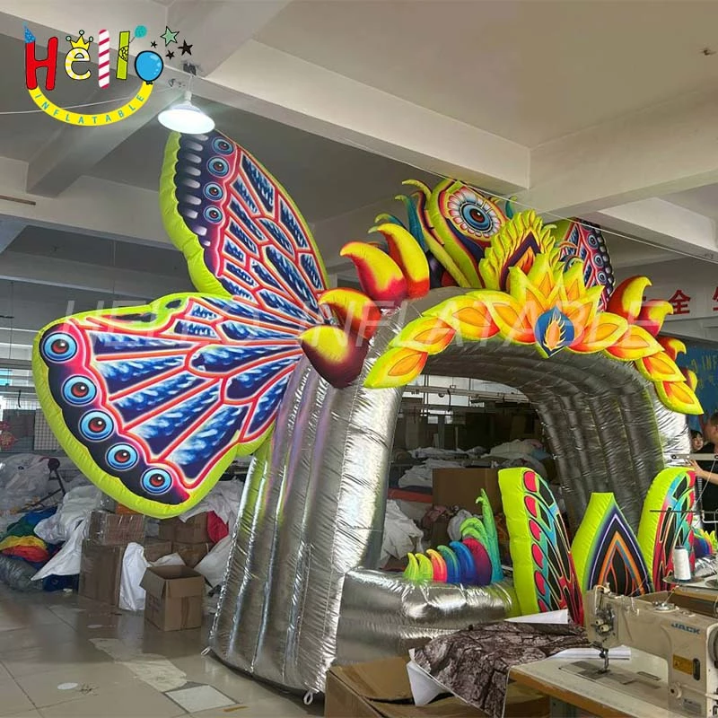 butterfly stage (5)