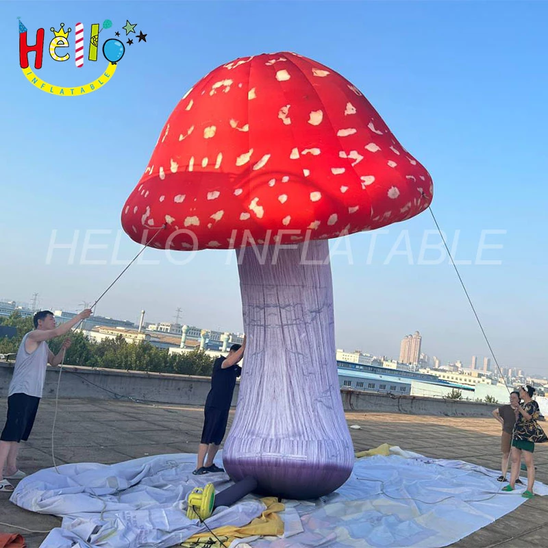 mushroom (1)