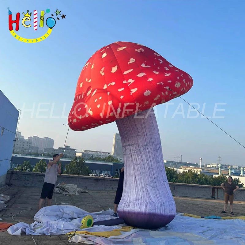 mushroom (3)