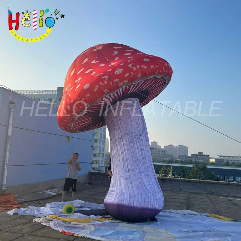 mushroom (7)