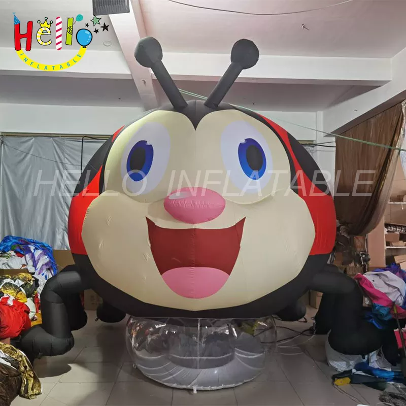 ladybug (6)