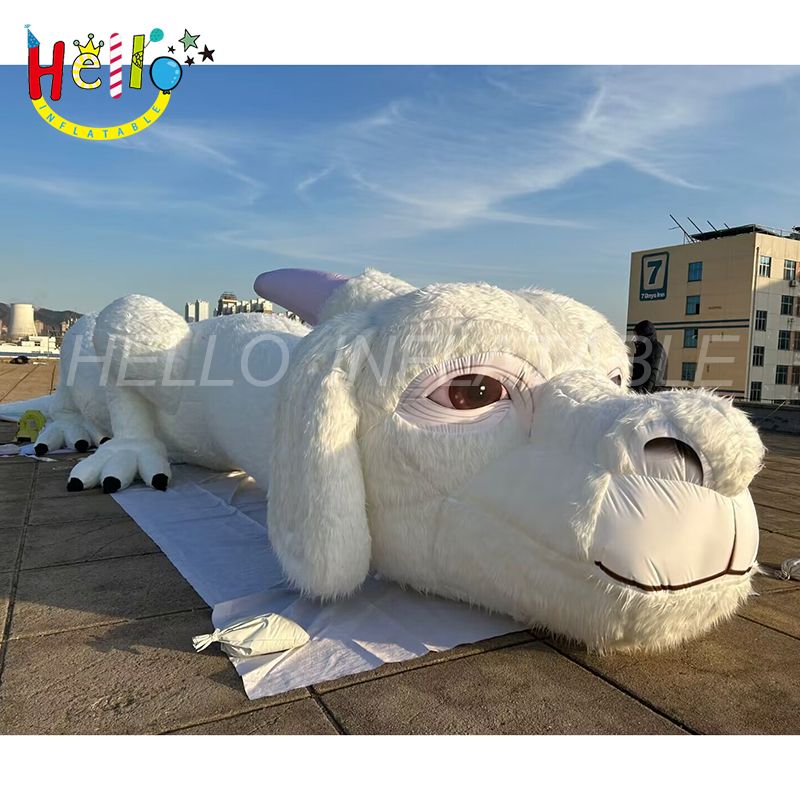 sheep-4_结果