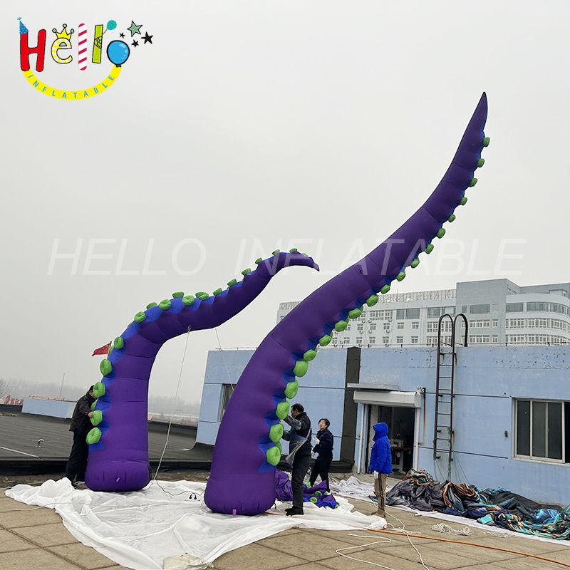 t-5_结果