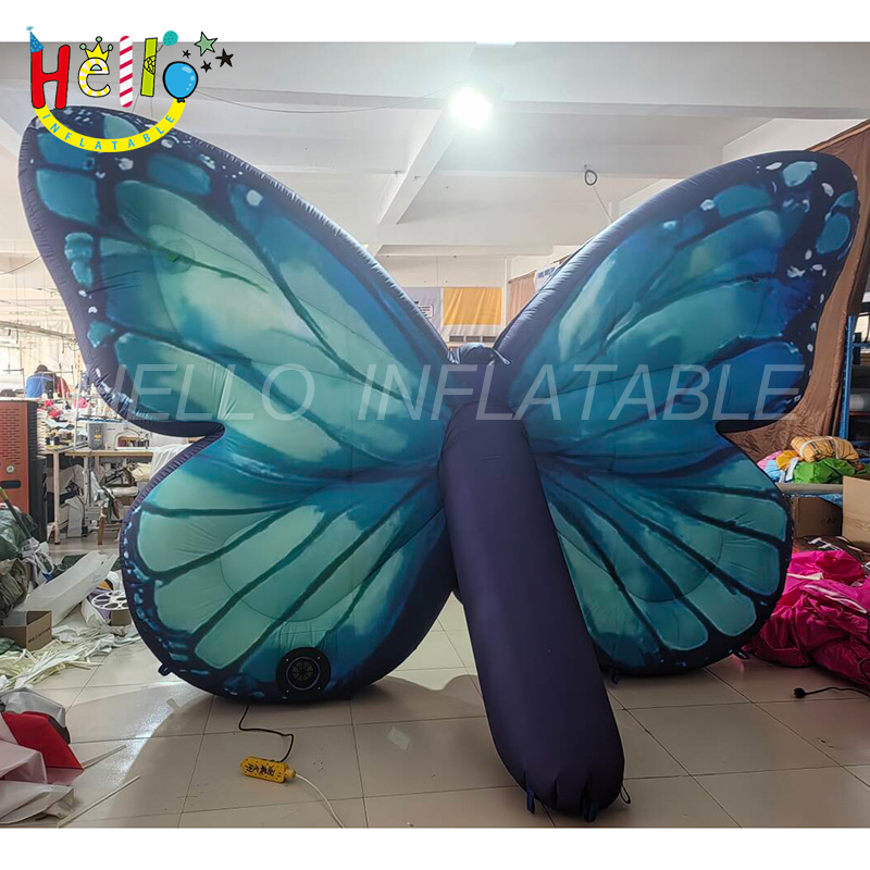 butterfly-4