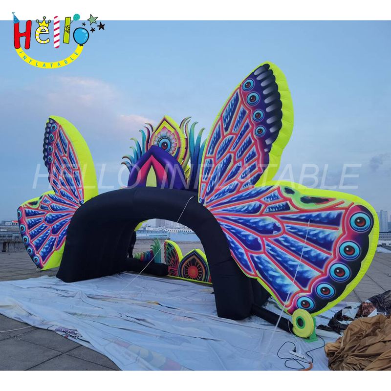 butterfly stage-6_结果