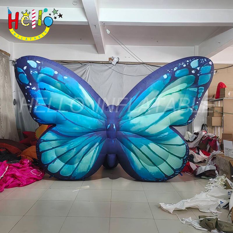 butterfly_结果