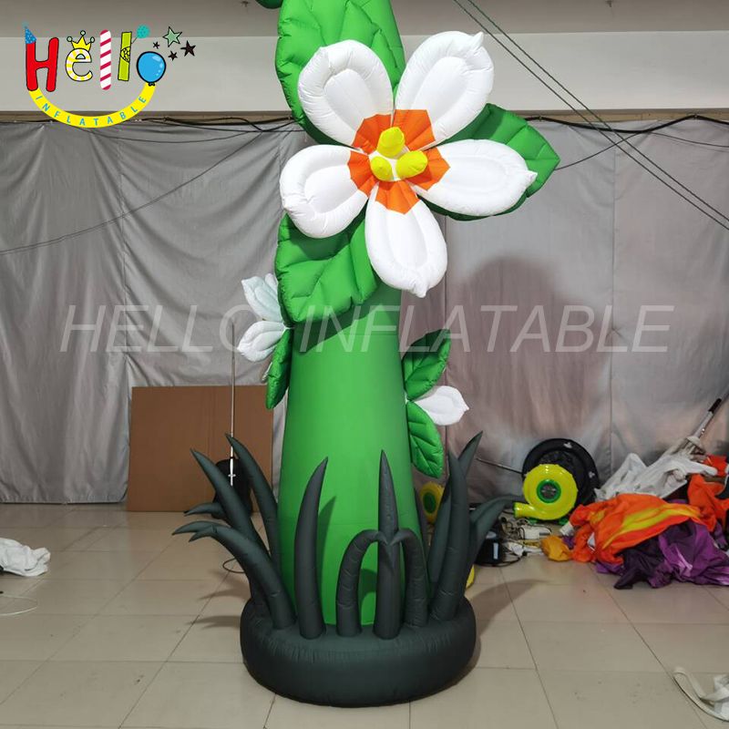 flower-3_结果