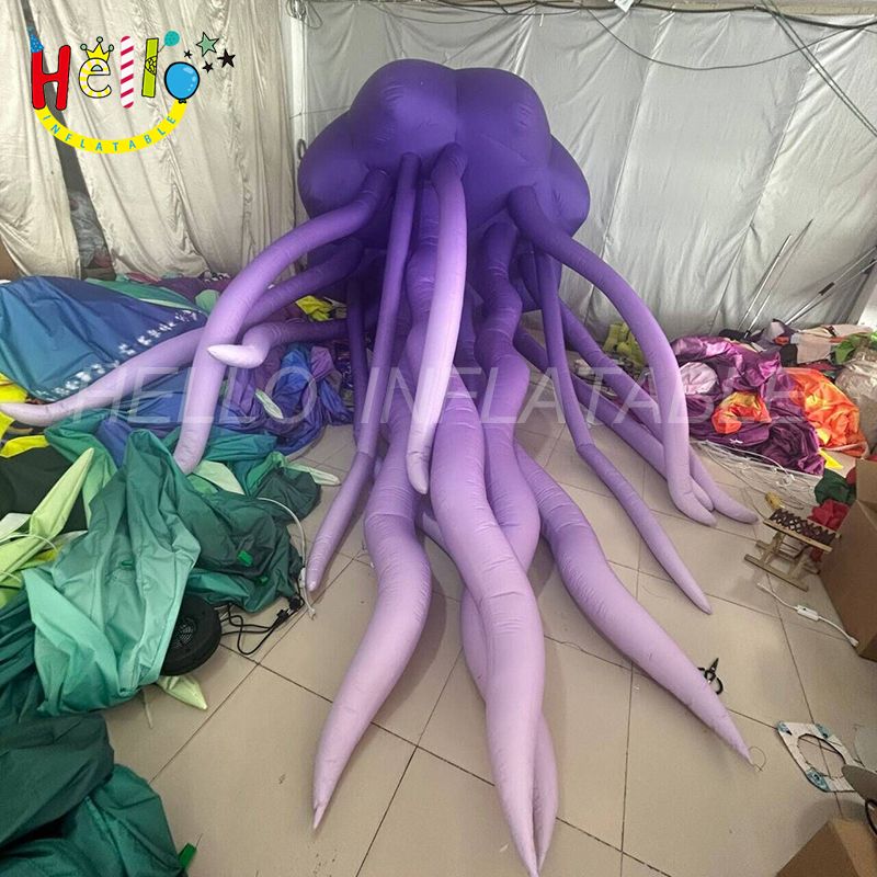jellyfish-4_结果