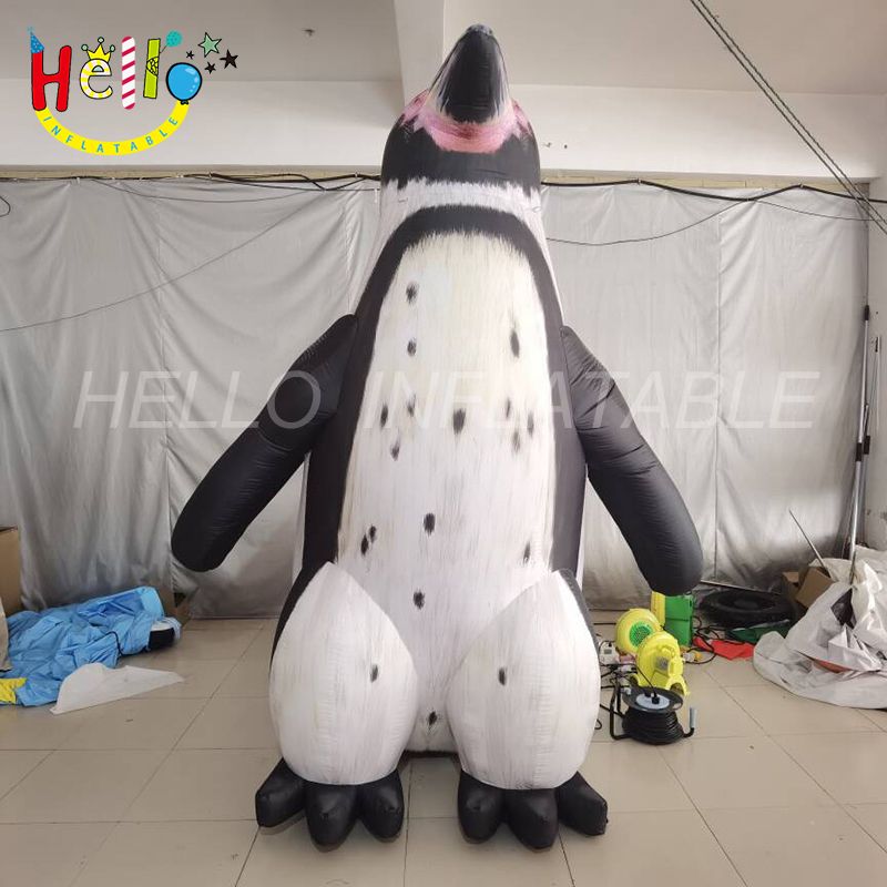 penguin-7_结果
