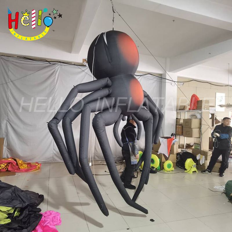 spider_结果
