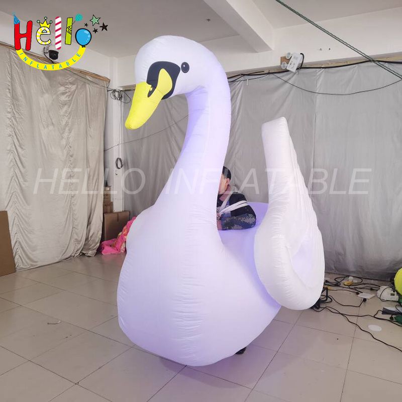swan costume-3_结果