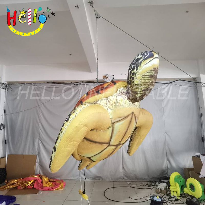 turtle-5_结果