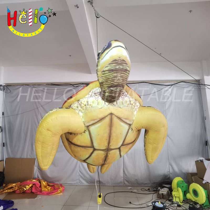 turtle-6_结果