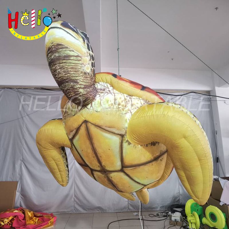 turtle_结果