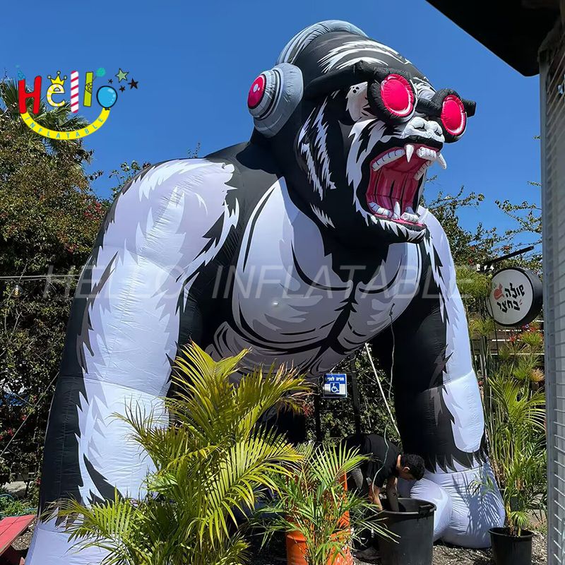 baboon_结果