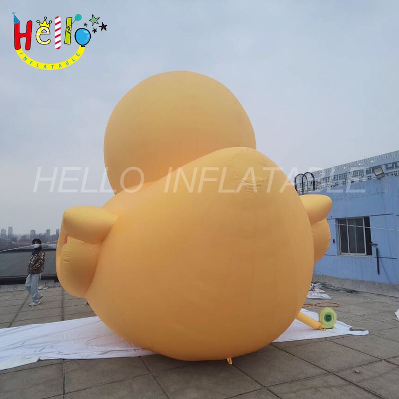 duck-2_结果