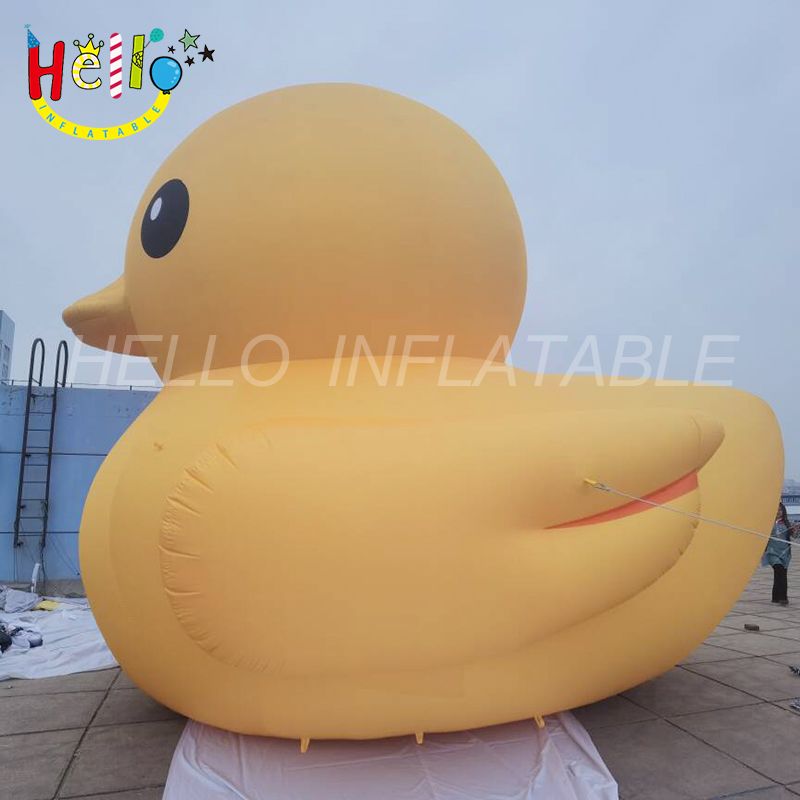 duck-5_结果